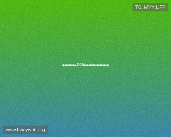 新利体育全站深度解读2026世界杯冠军争夺战的关键因素与战术分析